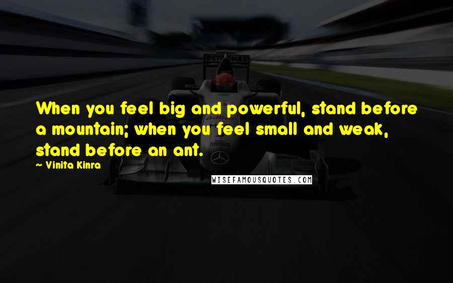 Vinita Kinra Quotes: When you feel big and powerful, stand before a mountain; when you feel small and weak, stand before an ant.