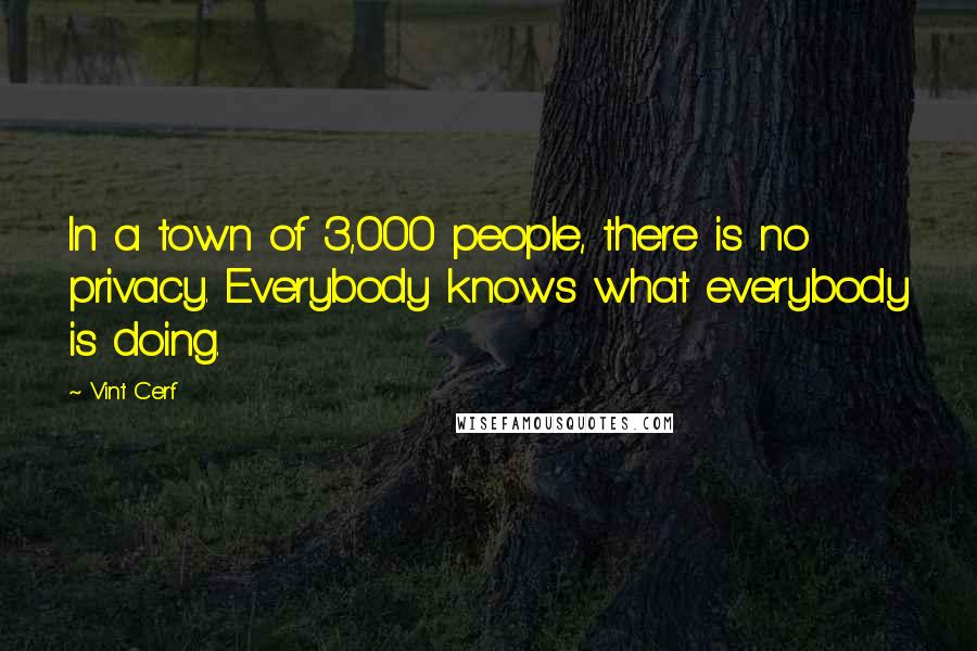 Vint Cerf Quotes: In a town of 3,000 people, there is no privacy. Everybody knows what everybody is doing.