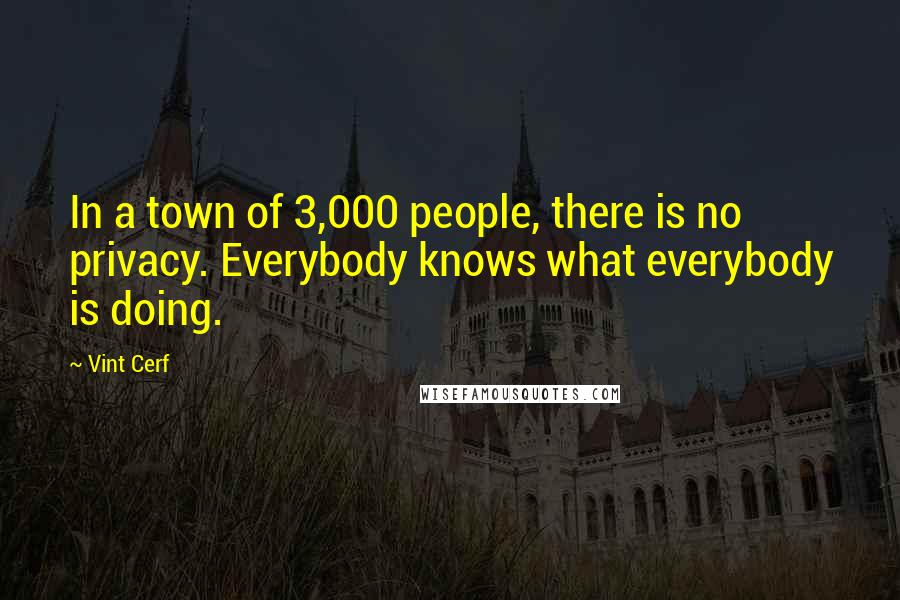 Vint Cerf Quotes: In a town of 3,000 people, there is no privacy. Everybody knows what everybody is doing.