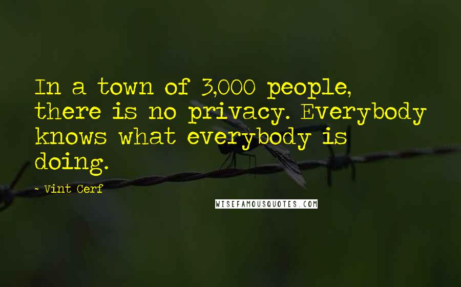 Vint Cerf Quotes: In a town of 3,000 people, there is no privacy. Everybody knows what everybody is doing.