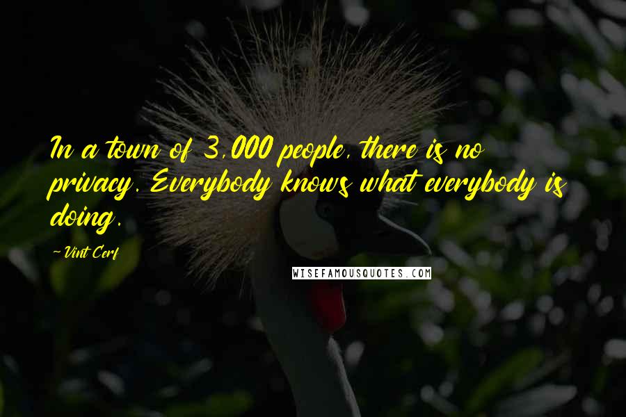 Vint Cerf Quotes: In a town of 3,000 people, there is no privacy. Everybody knows what everybody is doing.