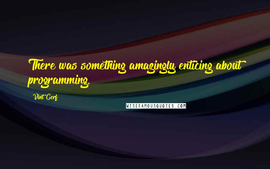 Vint Cerf Quotes: There was something amazingly enticing about programming.