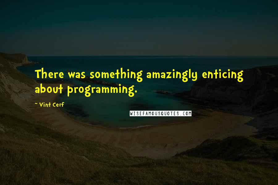 Vint Cerf Quotes: There was something amazingly enticing about programming.