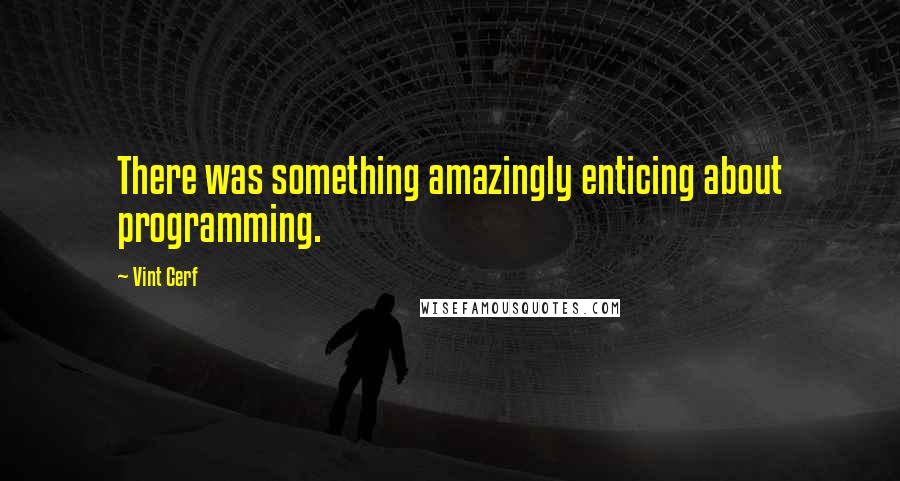 Vint Cerf Quotes: There was something amazingly enticing about programming.