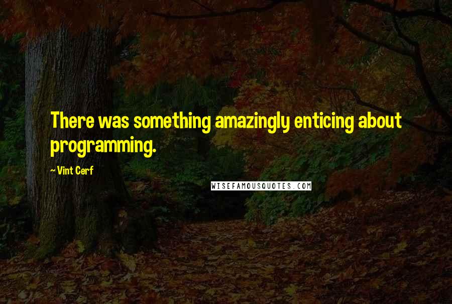 Vint Cerf Quotes: There was something amazingly enticing about programming.