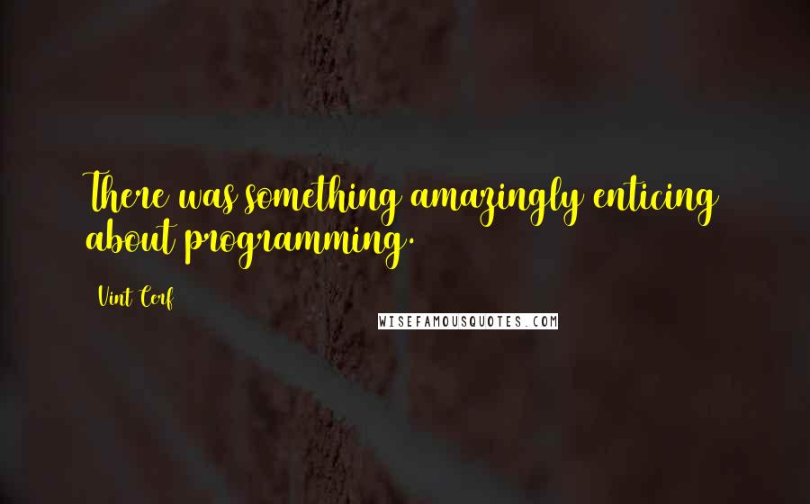 Vint Cerf Quotes: There was something amazingly enticing about programming.
