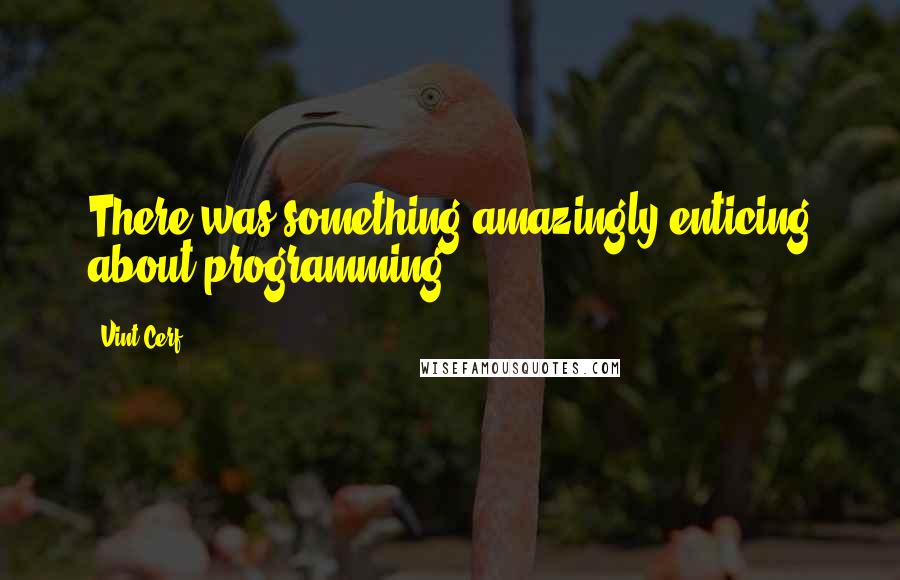 Vint Cerf Quotes: There was something amazingly enticing about programming.