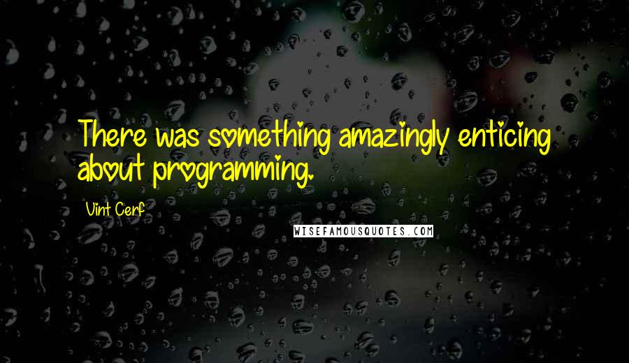 Vint Cerf Quotes: There was something amazingly enticing about programming.