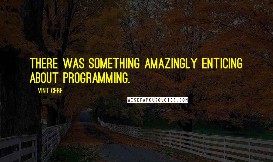 Vint Cerf Quotes: There was something amazingly enticing about programming.