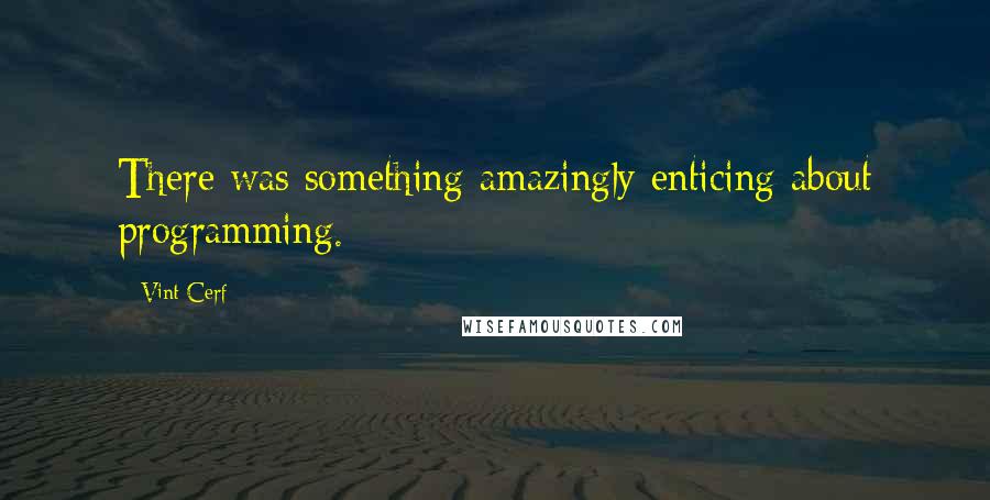 Vint Cerf Quotes: There was something amazingly enticing about programming.