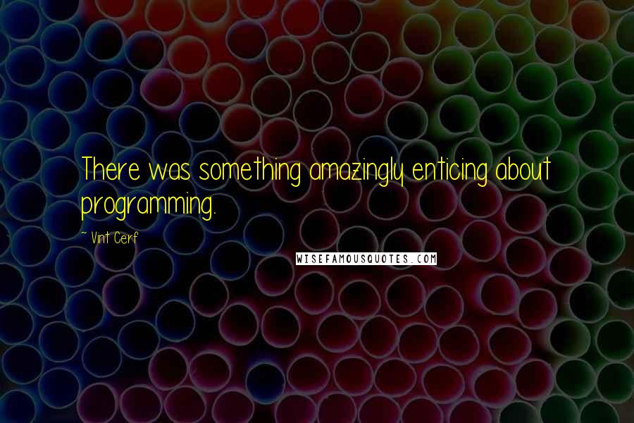 Vint Cerf Quotes: There was something amazingly enticing about programming.
