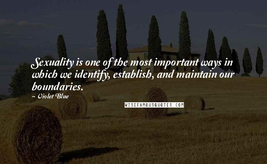 Violet Blue Quotes: Sexuality is one of the most important ways in which we identify, establish, and maintain our boundaries.