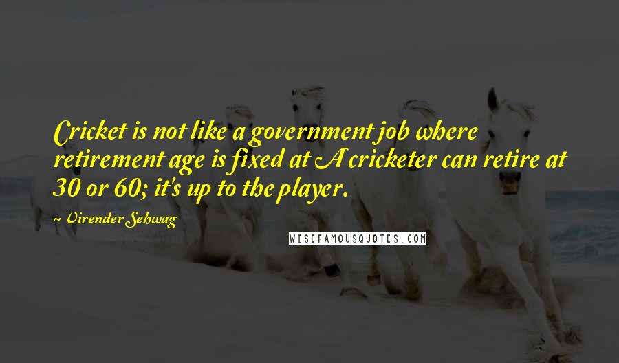 Virender Sehwag Quotes: Cricket is not like a government job where retirement age is fixed at A cricketer can retire at 30 or 60; it's up to the player.