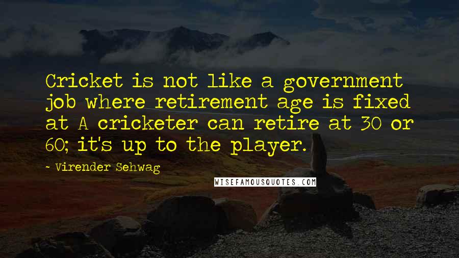 Virender Sehwag Quotes: Cricket is not like a government job where retirement age is fixed at A cricketer can retire at 30 or 60; it's up to the player.