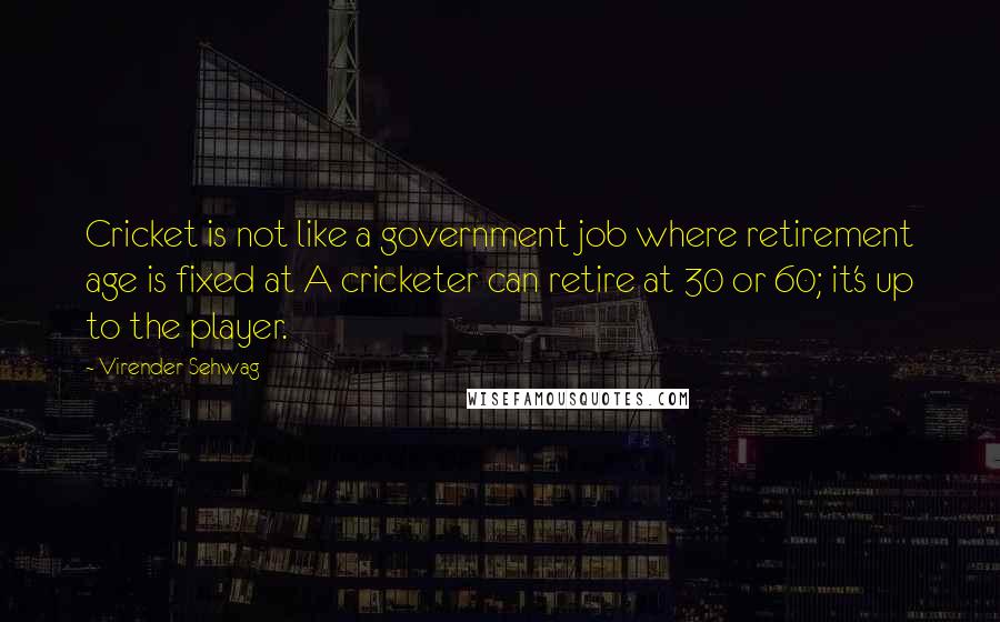 Virender Sehwag Quotes: Cricket is not like a government job where retirement age is fixed at A cricketer can retire at 30 or 60; it's up to the player.