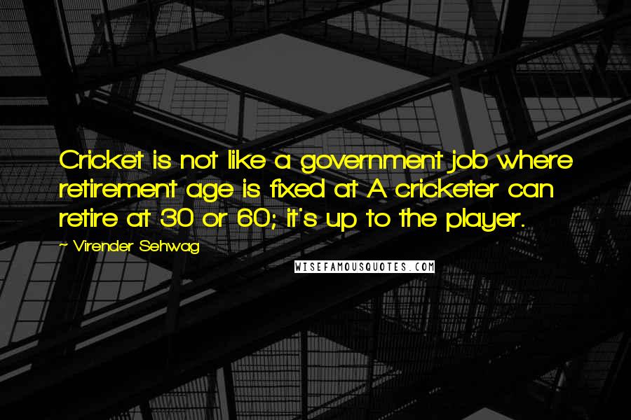 Virender Sehwag Quotes: Cricket is not like a government job where retirement age is fixed at A cricketer can retire at 30 or 60; it's up to the player.