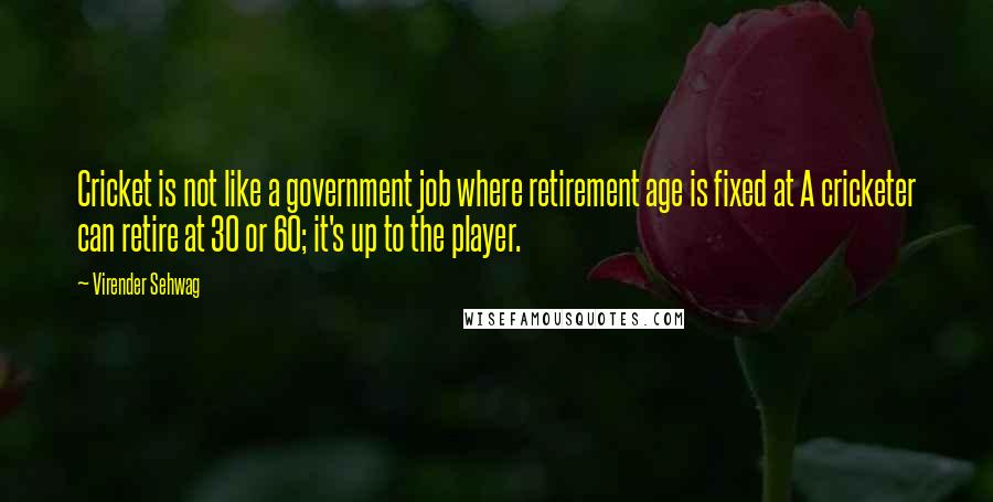 Virender Sehwag Quotes: Cricket is not like a government job where retirement age is fixed at A cricketer can retire at 30 or 60; it's up to the player.