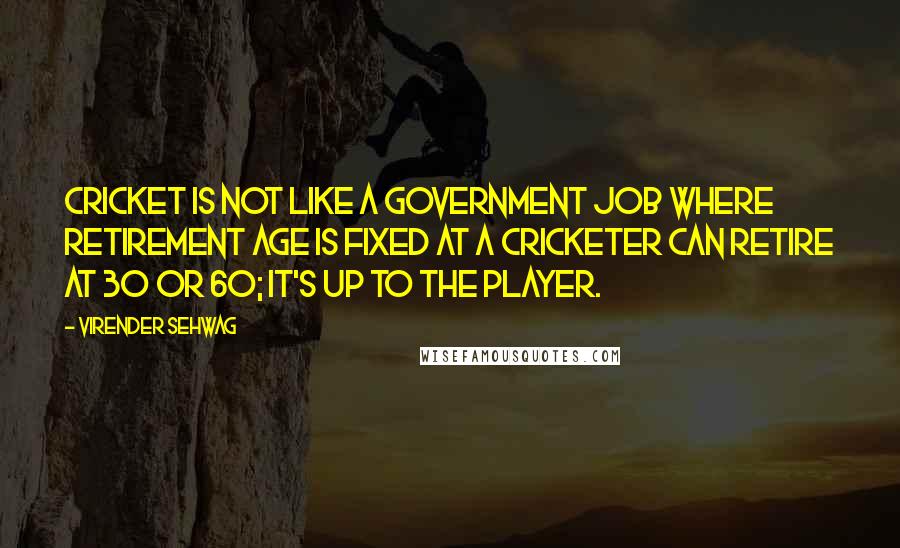 Virender Sehwag Quotes: Cricket is not like a government job where retirement age is fixed at A cricketer can retire at 30 or 60; it's up to the player.