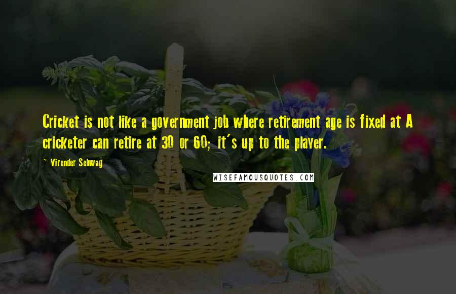 Virender Sehwag Quotes: Cricket is not like a government job where retirement age is fixed at A cricketer can retire at 30 or 60; it's up to the player.