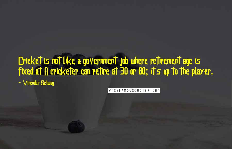 Virender Sehwag Quotes: Cricket is not like a government job where retirement age is fixed at A cricketer can retire at 30 or 60; it's up to the player.