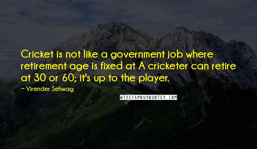 Virender Sehwag Quotes: Cricket is not like a government job where retirement age is fixed at A cricketer can retire at 30 or 60; it's up to the player.