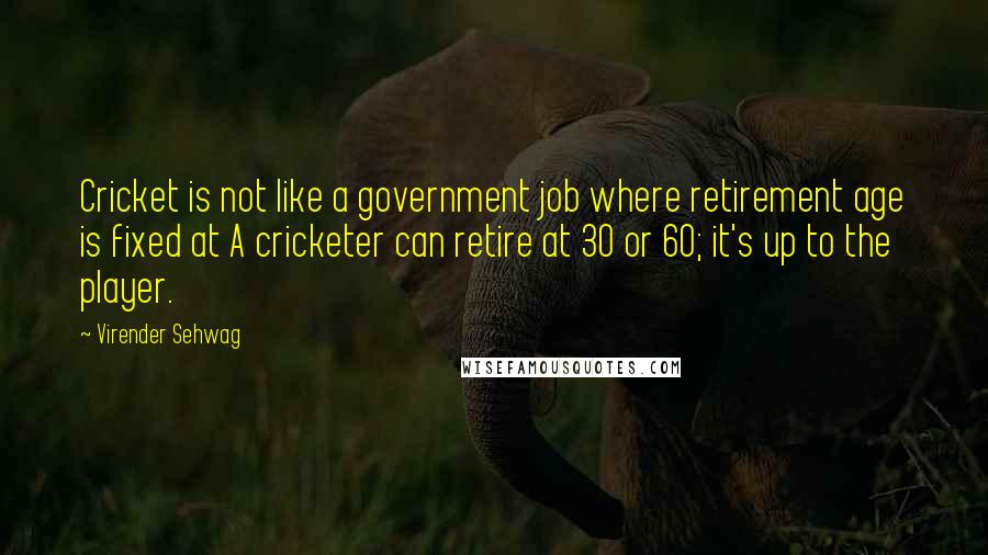 Virender Sehwag Quotes: Cricket is not like a government job where retirement age is fixed at A cricketer can retire at 30 or 60; it's up to the player.