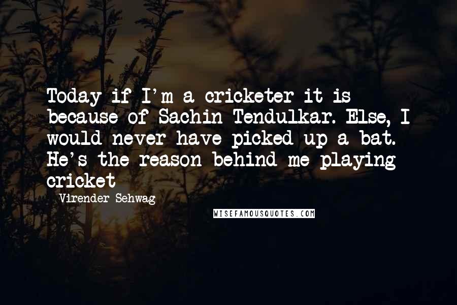 Virender Sehwag Quotes: Today if I'm a cricketer it is because of Sachin Tendulkar. Else, I would never have picked up a bat. He's the reason behind me playing cricket