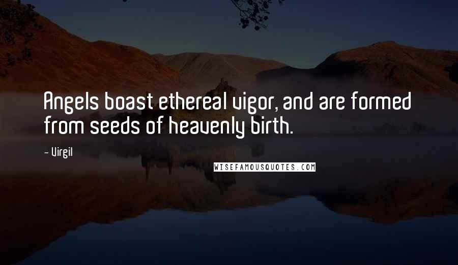 Virgil Quotes: Angels boast ethereal vigor, and are formed from seeds of heavenly birth.