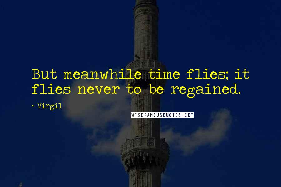 Virgil Quotes: But meanwhile time flies; it flies never to be regained.