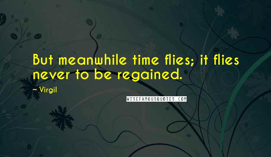 Virgil Quotes: But meanwhile time flies; it flies never to be regained.