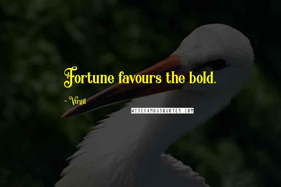 Virgil Quotes: Fortune favours the bold.