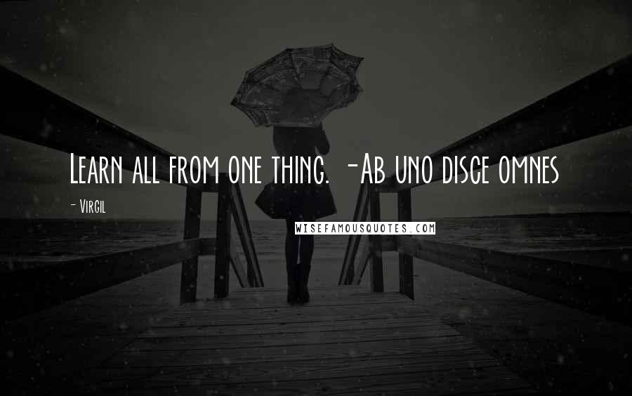 Virgil Quotes: Learn all from one thing. -Ab uno disce omnes