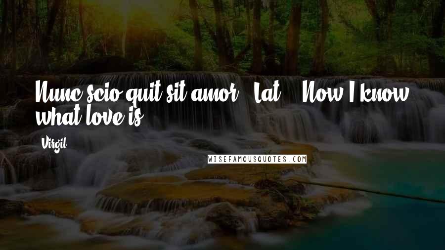 Virgil Quotes: Nunc scio quit sit amor." Lat., "Now I know what love is.