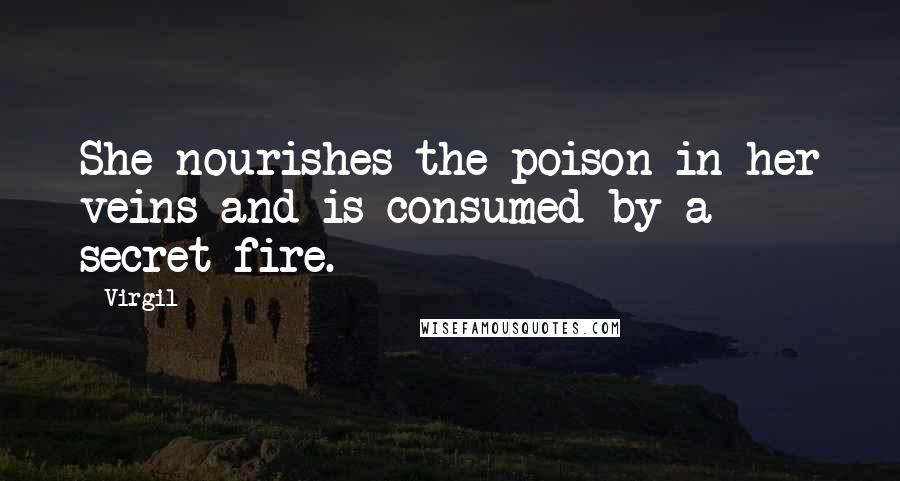 Virgil Quotes: She nourishes the poison in her veins and is consumed by a secret fire.