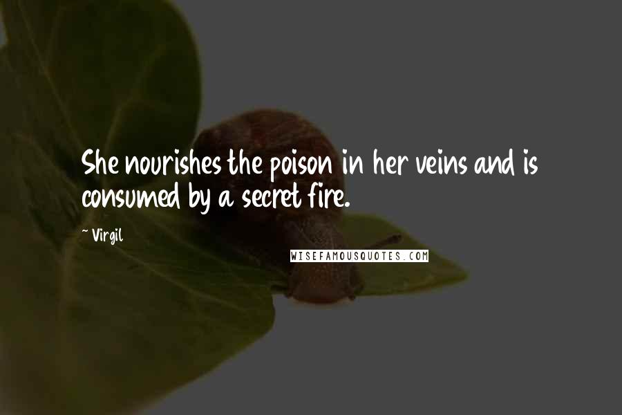 Virgil Quotes: She nourishes the poison in her veins and is consumed by a secret fire.