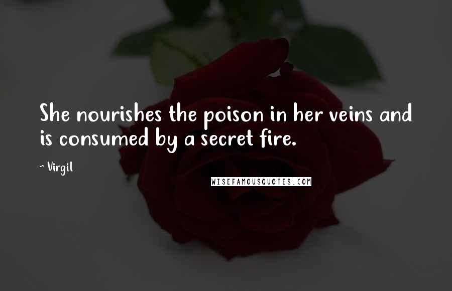 Virgil Quotes: She nourishes the poison in her veins and is consumed by a secret fire.