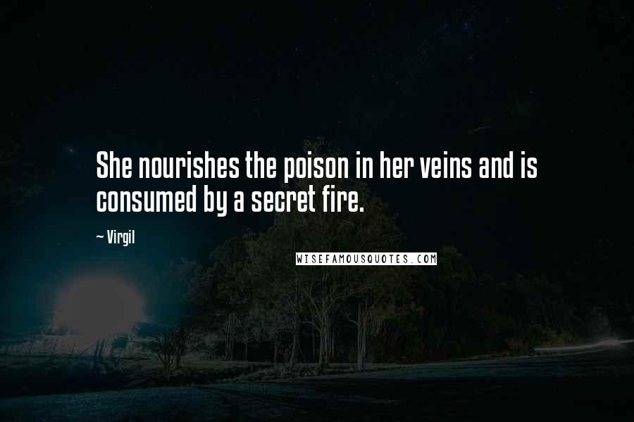 Virgil Quotes: She nourishes the poison in her veins and is consumed by a secret fire.