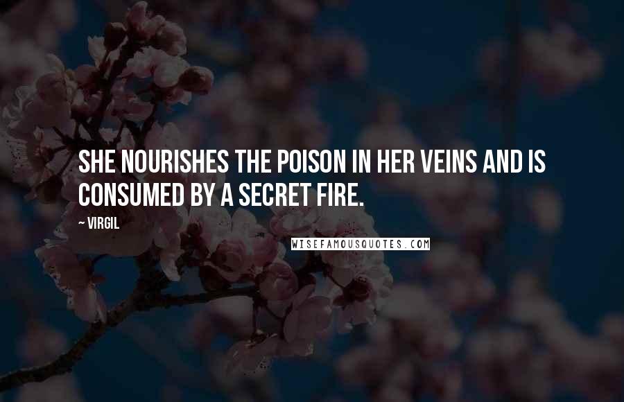 Virgil Quotes: She nourishes the poison in her veins and is consumed by a secret fire.