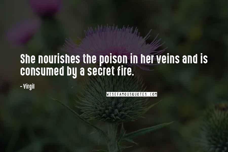 Virgil Quotes: She nourishes the poison in her veins and is consumed by a secret fire.