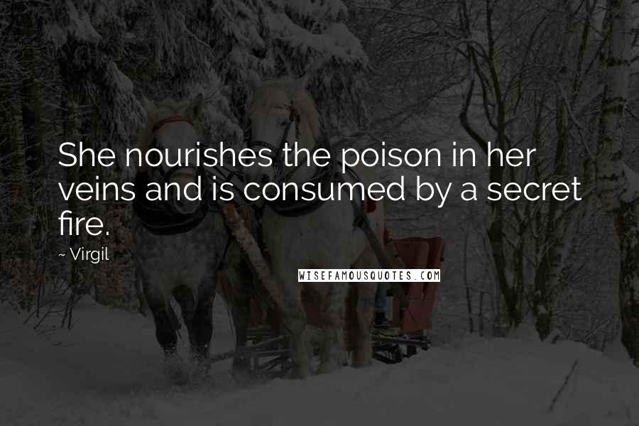 Virgil Quotes: She nourishes the poison in her veins and is consumed by a secret fire.