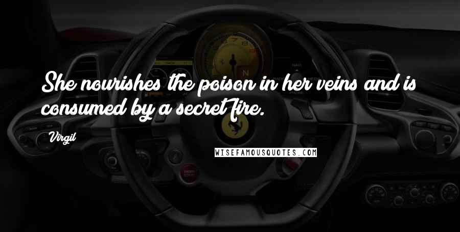 Virgil Quotes: She nourishes the poison in her veins and is consumed by a secret fire.