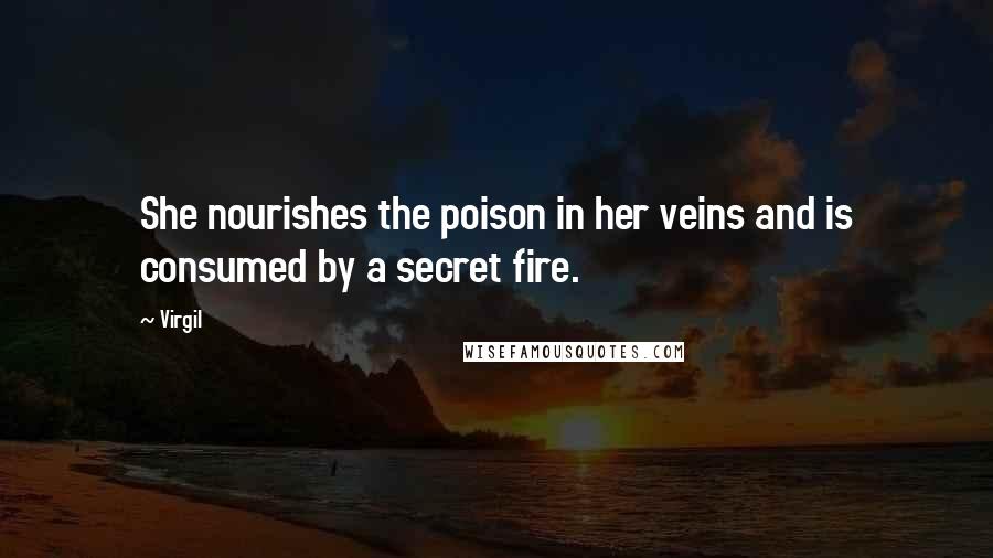 Virgil Quotes: She nourishes the poison in her veins and is consumed by a secret fire.