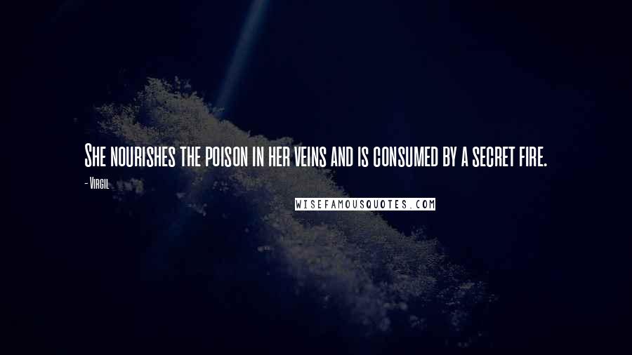 Virgil Quotes: She nourishes the poison in her veins and is consumed by a secret fire.