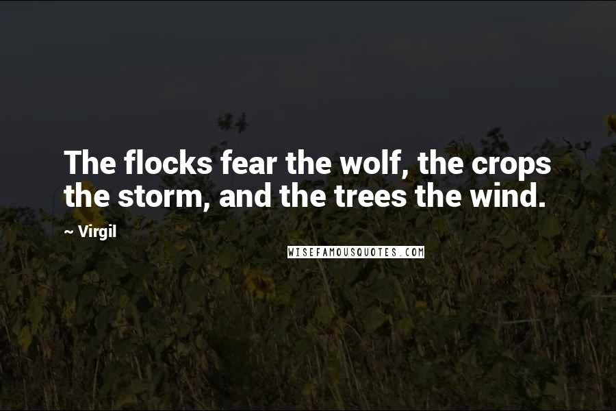 Virgil Quotes: The flocks fear the wolf, the crops the storm, and the trees the wind.