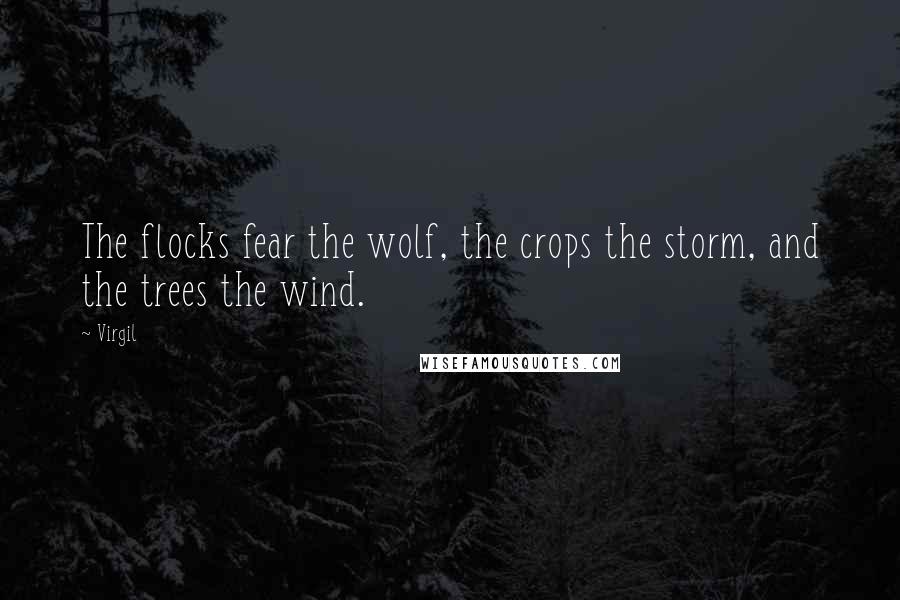 Virgil Quotes: The flocks fear the wolf, the crops the storm, and the trees the wind.