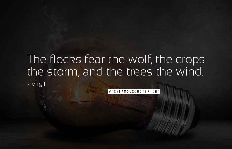 Virgil Quotes: The flocks fear the wolf, the crops the storm, and the trees the wind.