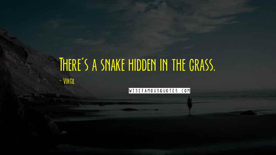 Virgil Quotes: There's a snake hidden in the grass.