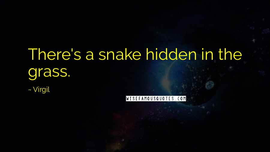 Virgil Quotes: There's a snake hidden in the grass.
