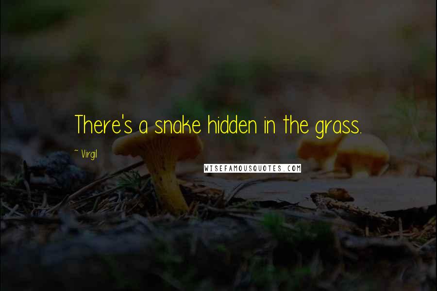 Virgil Quotes: There's a snake hidden in the grass.