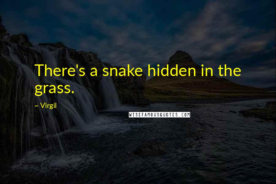Virgil Quotes: There's a snake hidden in the grass.